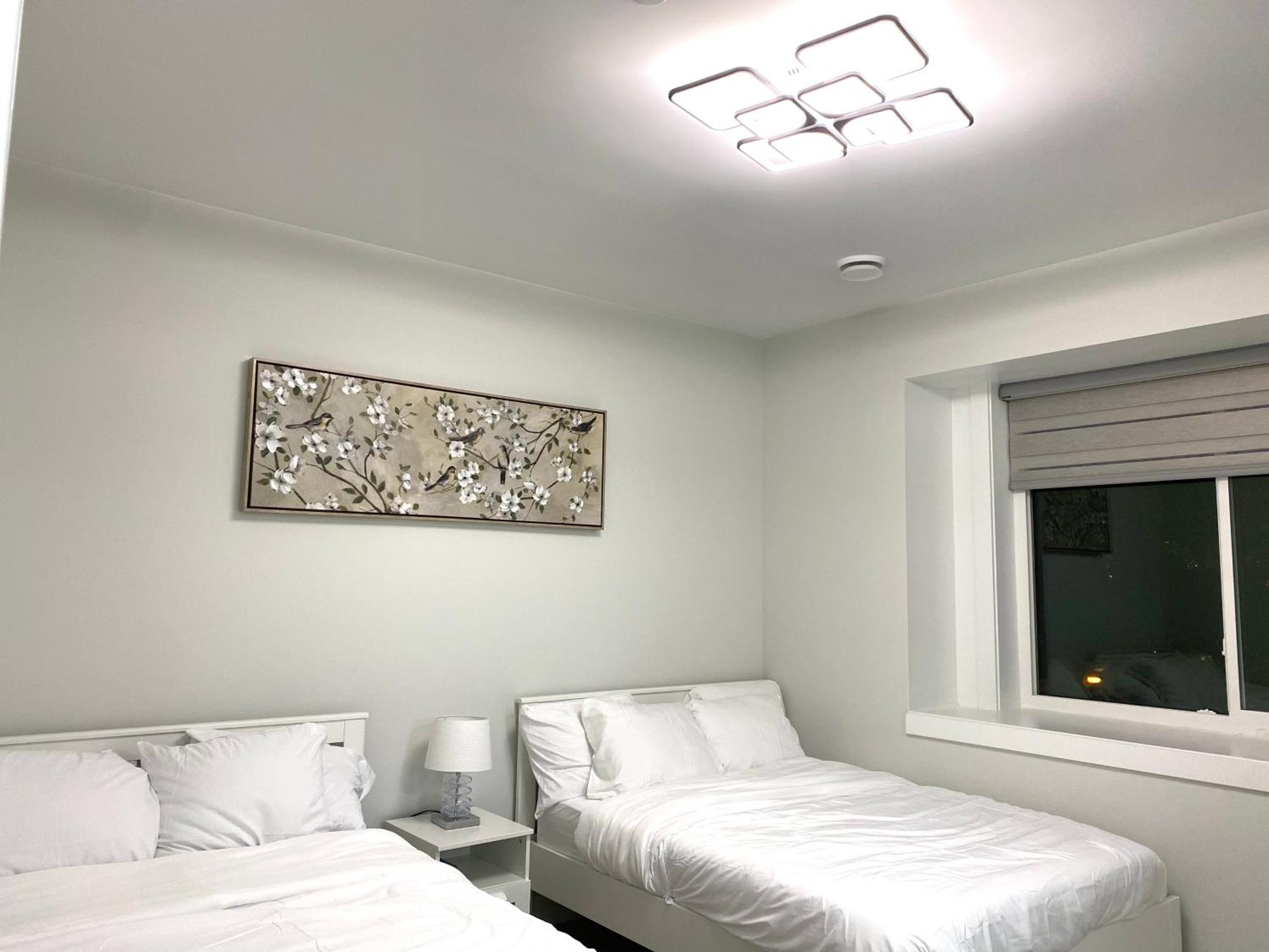 Modern And New House Near Pne With Big Garden And Free Parking Apartment แวนคูเวอร์ ภายนอก รูปภาพ